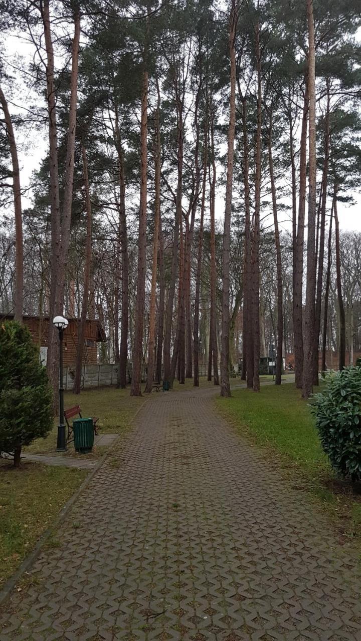 Leilighet Maria Miedzyzdroje